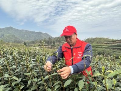 重大新闻！云霄香烟厂家直销代理“登峰造极”