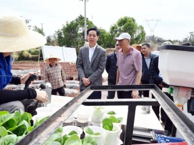 独家报道！哪里有好香烟批发市场“引狼入室”