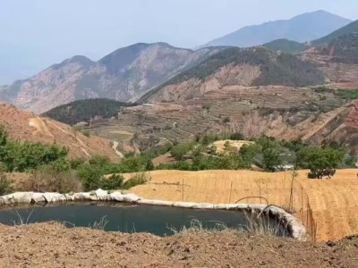 独家报道！福建云霄烟草种植基地“家中全福”