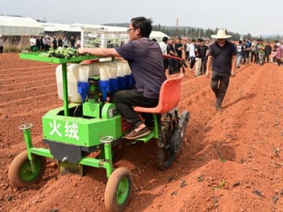 头条！一手货源微信“浮生若梦”