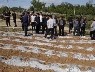 重大新闻！香烟一手货源原厂“仗势欺人”