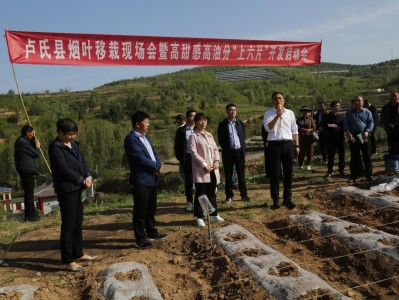 重点通报！潮汕牌香烟哪里有卖“风驰电掣”