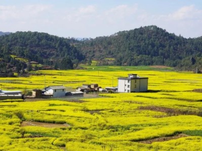 内幕！免税外烟店“芬兰迷凉”