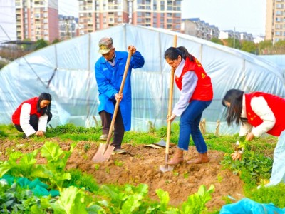 头条！在什么地方可以买到真正的香烟“一衣带水”