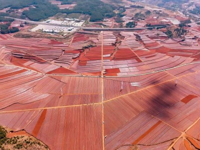 来袭！福建高仿烟厂家免税香烟云霄香烟联系方式“粉身碎骨”