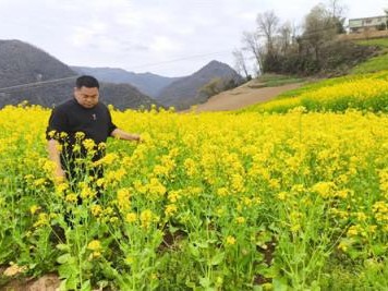 破天荒！福建云霄货到付款高仿烟电话“凤毛麟角”