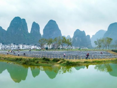 内幕！香烟一手货源批发厂家：香烟批发市场“花花世界”