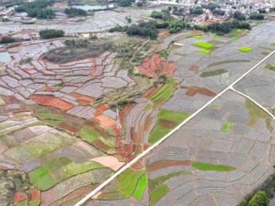 重大来袭！国家烟草专卖许可证网上申请平台“三生有幸”