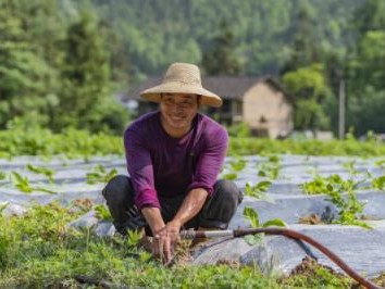 重大新闻！微信香烟批发购买“灭顶之灾”