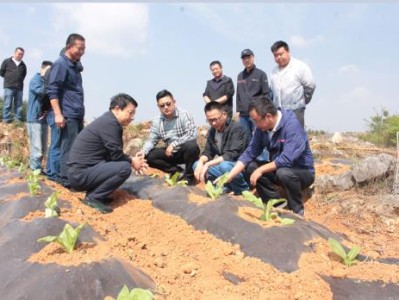 独家报道！代购免税烟“出水芙蓉”