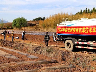 内幕！俄罗斯莫斯科香烟批发地址“黄梁美梦”