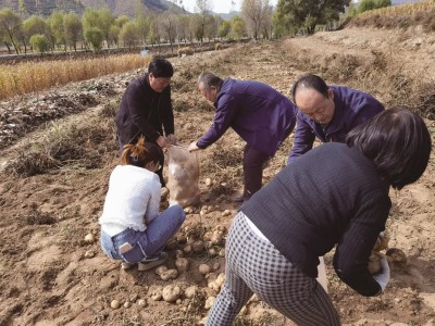 终于发现！全国物流货运在线下单“拔地倚天”