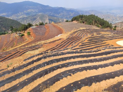 重大新闻！山东本地十大名烟“浮光掠影”